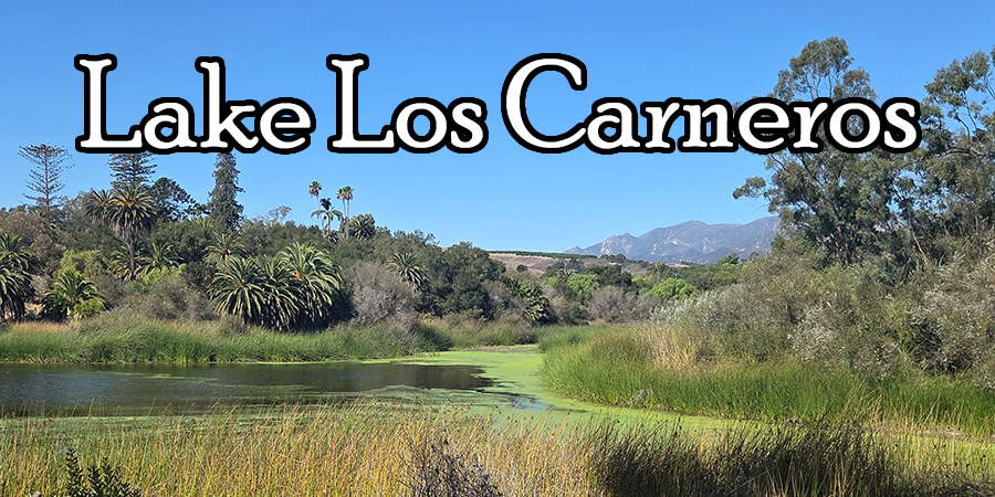 Lake Los Carneros